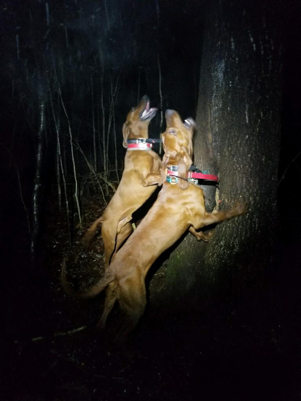 5DED4C2A-059B-4413-83DA-FCBAC0F87D89