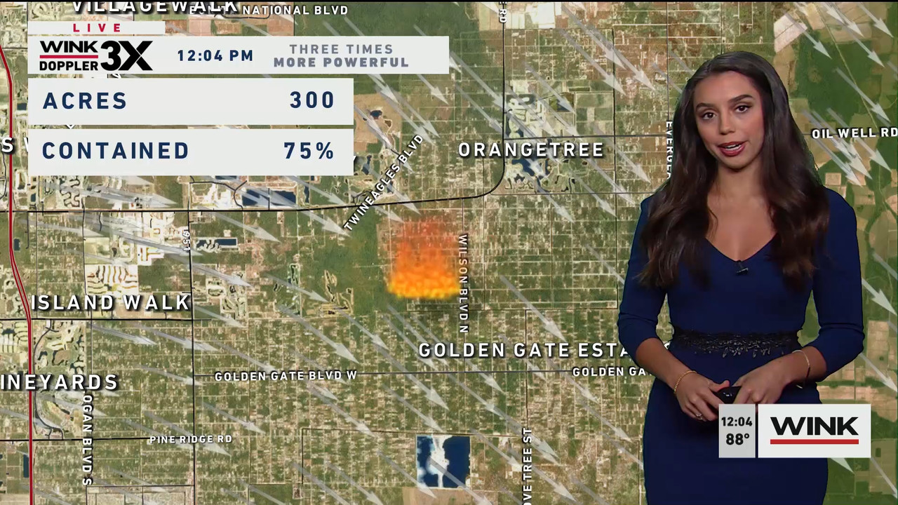 03.06 - 17.00.00 - The WINK Noon News  ᴺᵉʷ. Midday news update..ts_snapshot_11.04.477