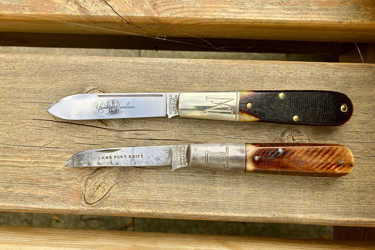 A0B65B37-84B0-43F3-BF9B-5A2C5CEA9055