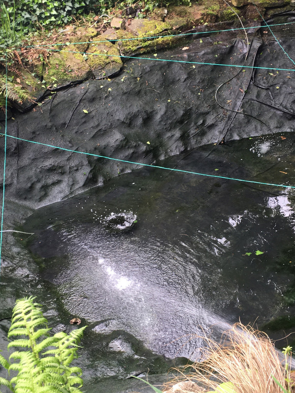 48EF13E3-CADA-45DF-A2ED-B7BA838FEBFA