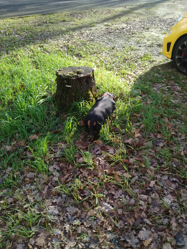 [Image: IMG-20230115-145515.jpg]