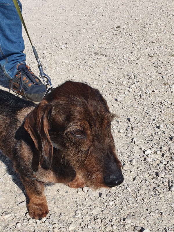 [Image: 20230706-192123.jpg]