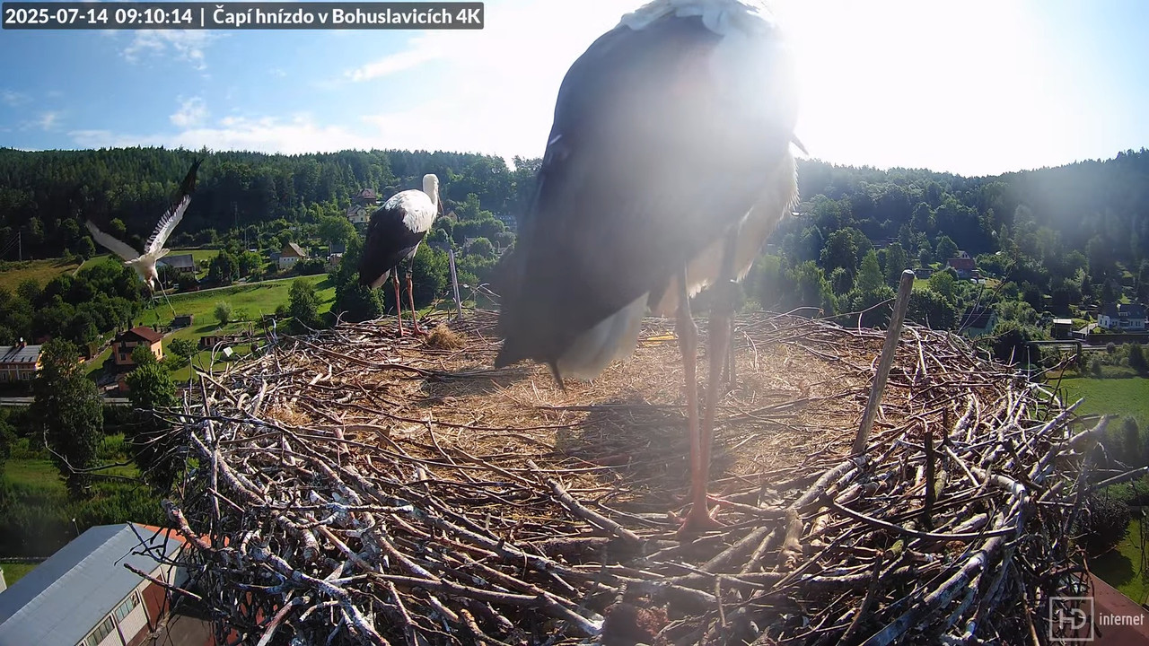 Tiešraide no KARA uzņēmuma stārķu skursteņa Bohuslavicē netālu no Trutnovas 12-2-1 screenshot