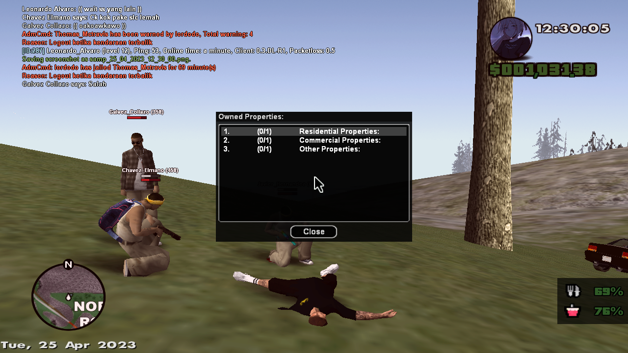 samp-25-04-2023-12-30-07.png