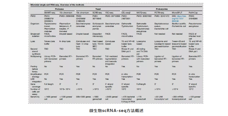 对微生物群落进行scRNA-seq的新技术-3.png