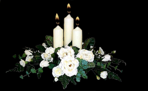 burning252-Dcandles-300.gif
