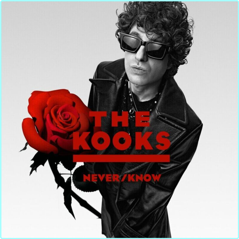 [Image: gdbv60m9xyv9.png]