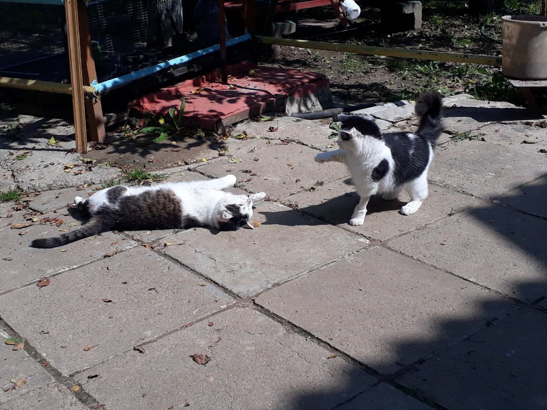 изображение_viber_2019-08-09_12-35-32