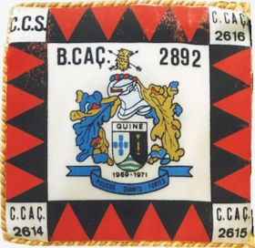 BCac2892