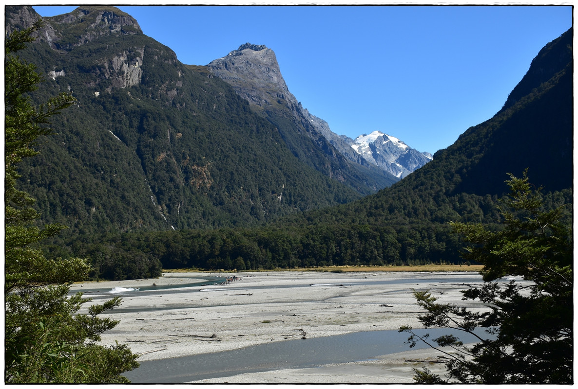 Mt Aspiring NP: Rees-Dart Track y Cascade Saddle (febrero 2023) - Escapadas y rutas por la Nueva Zelanda menos conocida (65)