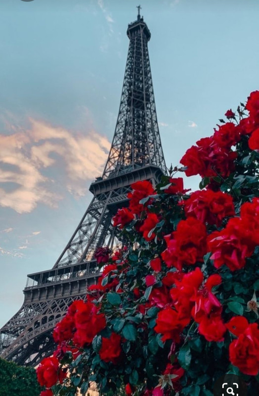 Screenshot_20230805_214602_Pinterest