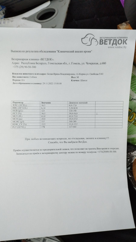 F6B65A09-6E6B-4301-986C-575CDE73A45B