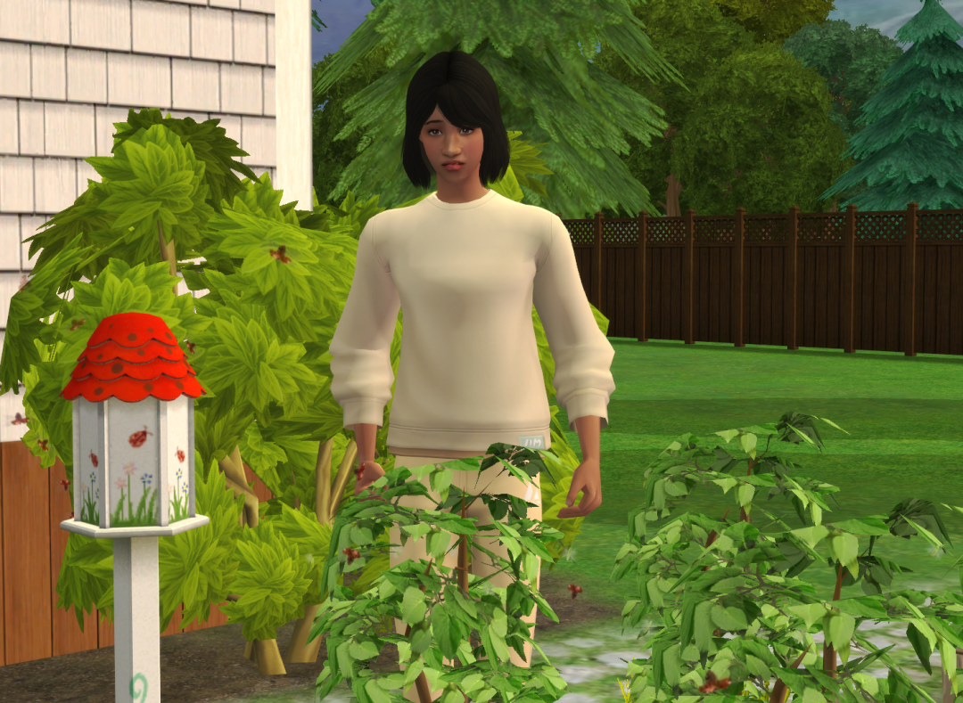 Sims2-EP9-RPC-2024-03-08-17-27-07-37