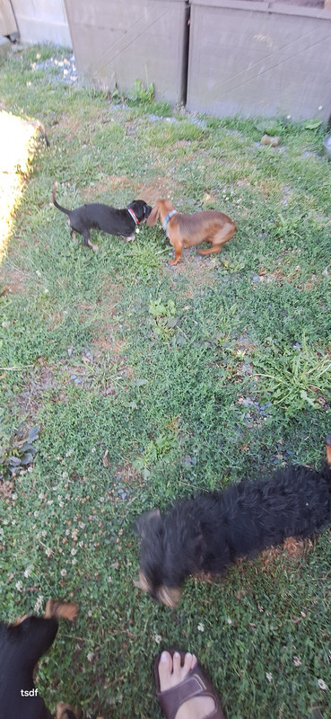 [Image: 20250628-190319.jpg]