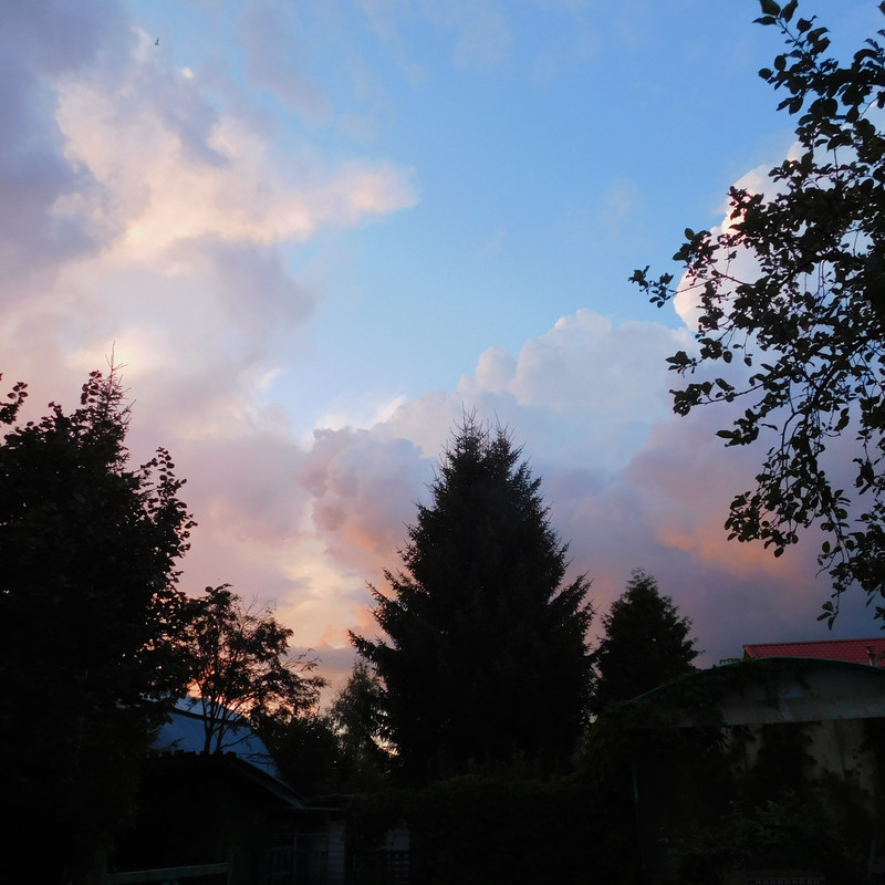 Дачно-Харлинский июнь-июль 2024 313