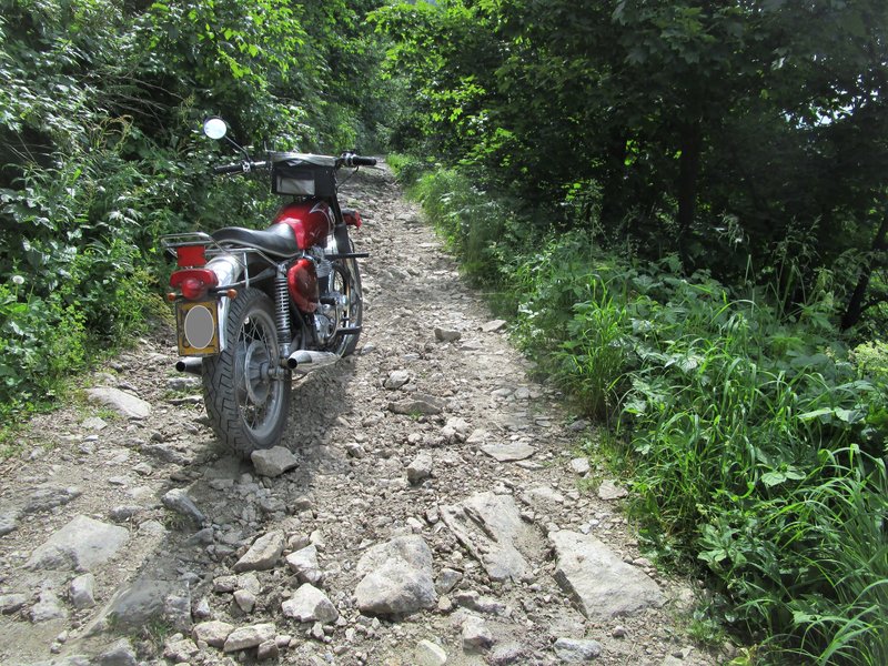 First time off-road (sort of) on my N15