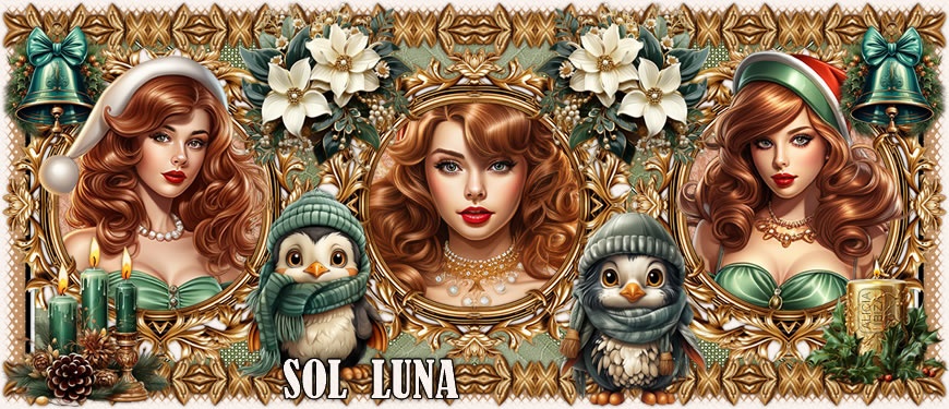 Pinguini di Natale solluna