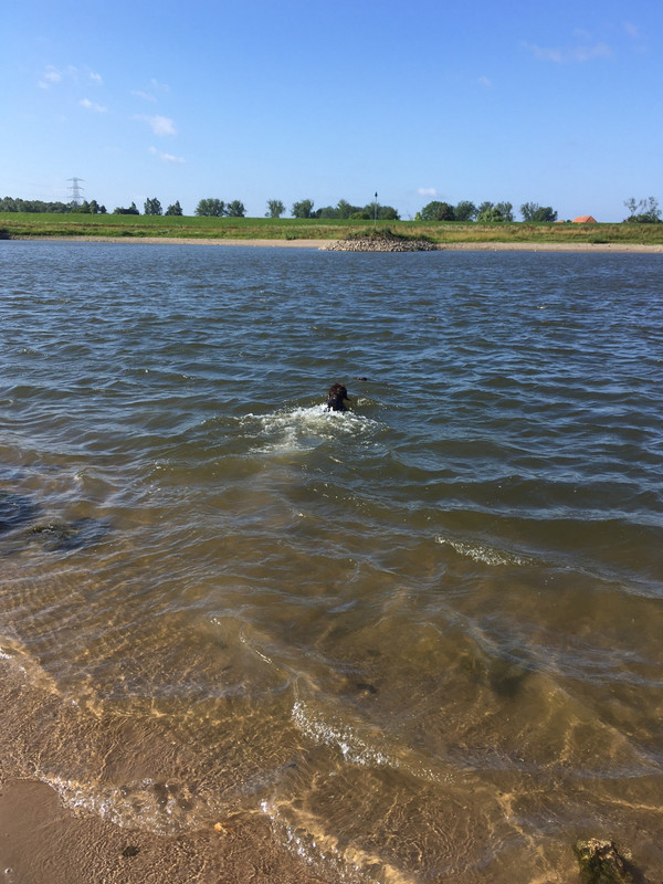 2023-16-07 Zwemmen in de Rijn Claire IMG_2473 (002)