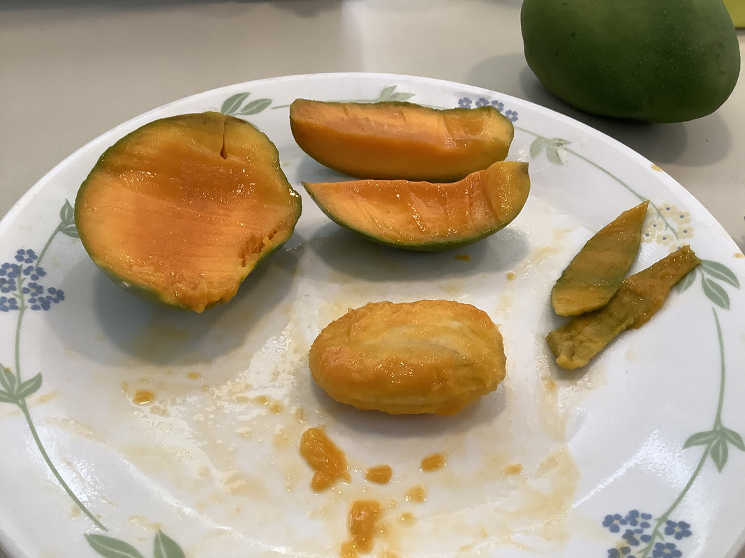 F0A7277C-EFDD-45DC-ABC2-4637A82CC582