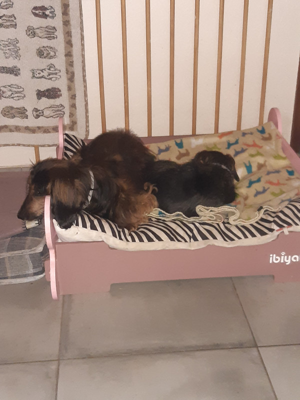 [Image: 20230724-073304.jpg]