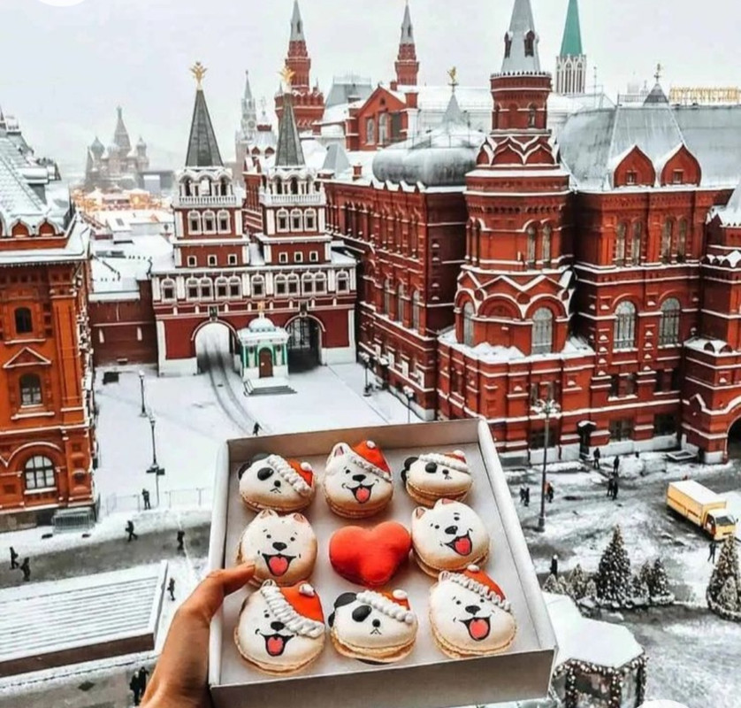 Screenshot_20221204-211603_Chrome