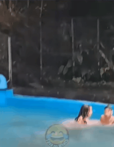 DIVE2.gif
