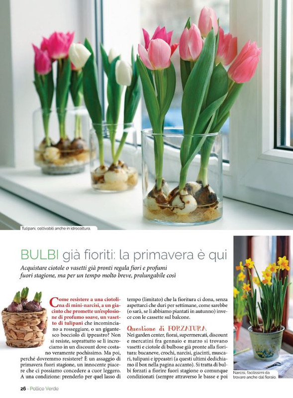 Pol Ver Gen 2023 (3)