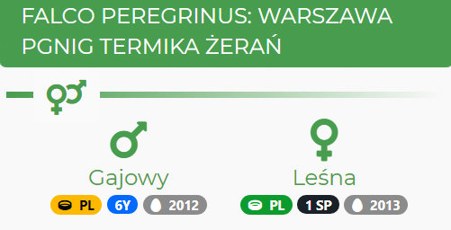 WARSZAWA PGNIG TERMIKA ŻERAŃ Przechwytywanie-w-trybie-pe-noekranowym-23-07-2021-222300