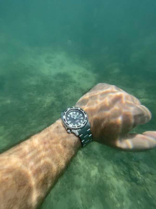 581EE16D-4B53-4F5C-A79A-8DACD0596BFD