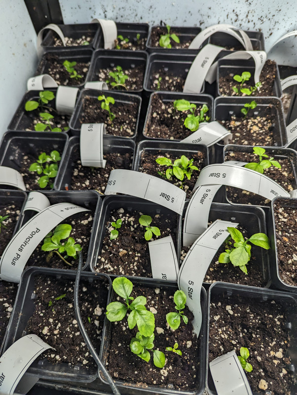 PXL_20230503_091650882