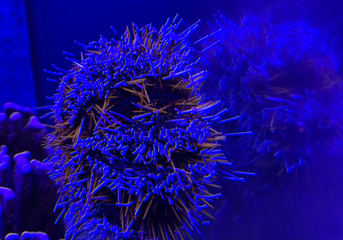 2B6D198B-22F0-4E9A-923D-DAD98CB6AEB1