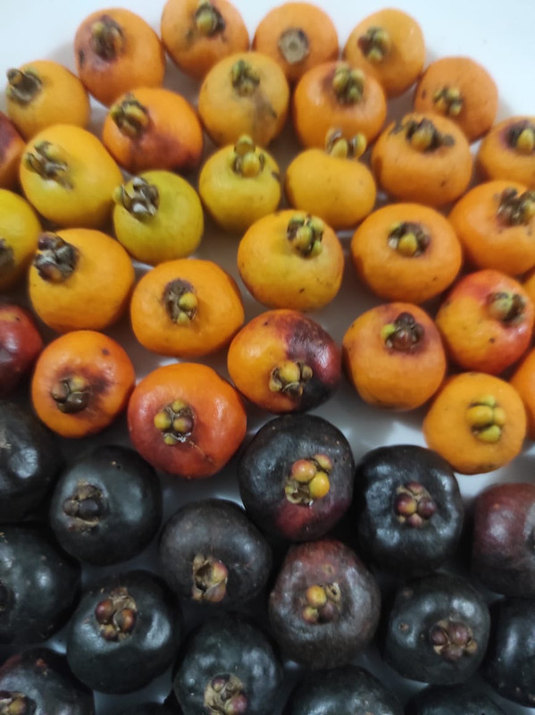 WhatsApp Image 2021-07-16 at 01.11.58 (2)