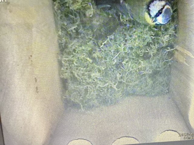 1C90617A-0A0C-4521-87FD-8DBCAFC62844