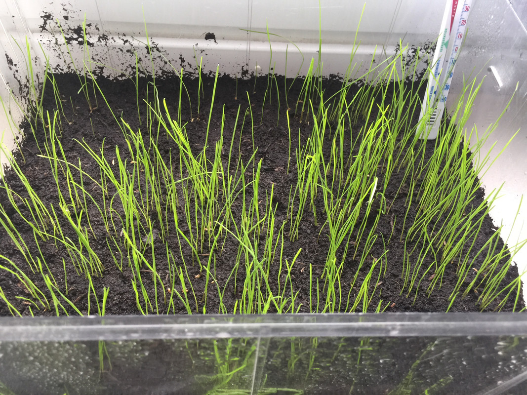 1B50DA93-BC4B-4C03-A1AE-00EDEB44FD81