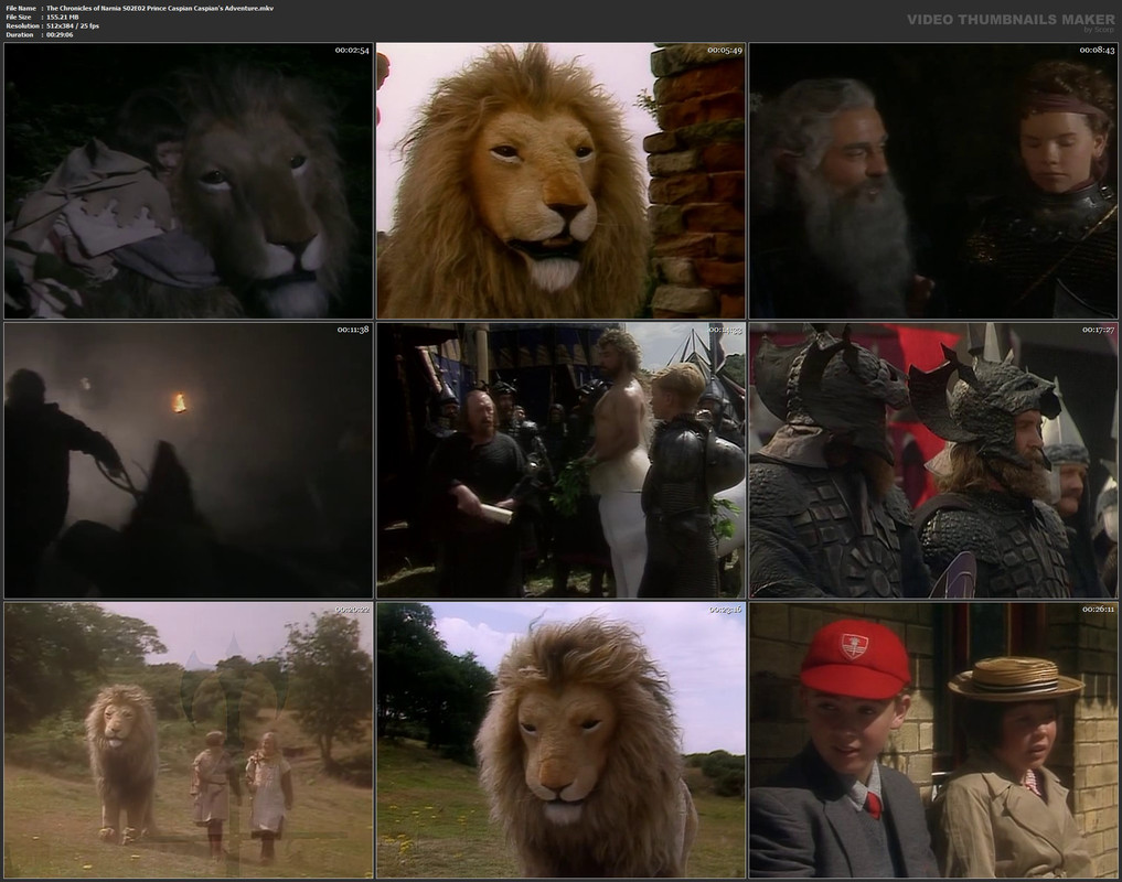 The Chronicles of Narnia S02E02 Prince Caspian Caspian's Adventure.mkv