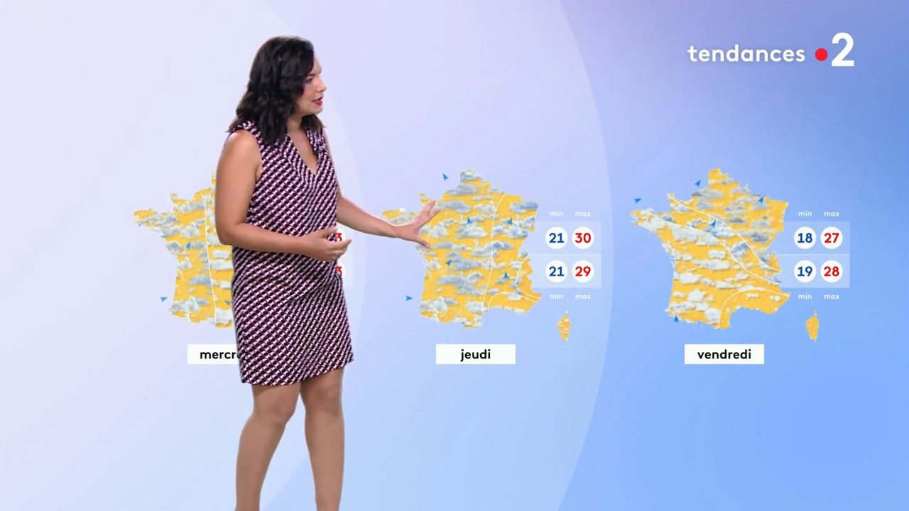 2020-08-10_12_50_Fr2_Meteo.mp4_snapshot_11.54.293
