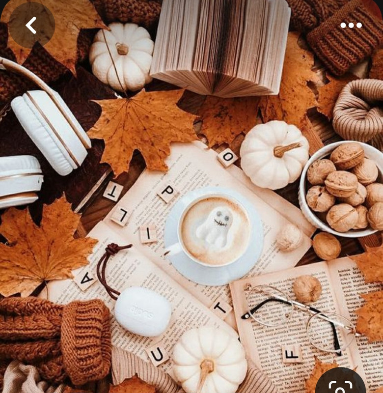 Screenshot_20230909_232546_Pinterest