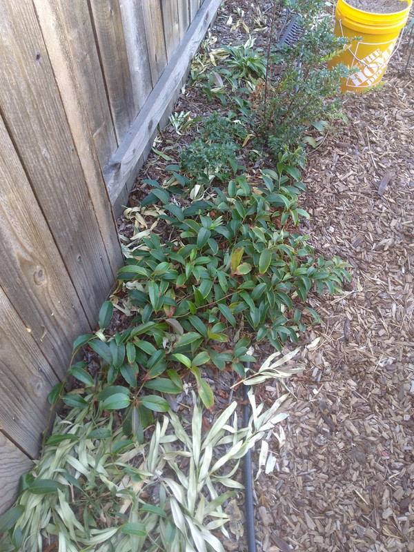 IMG_20201023_125738574