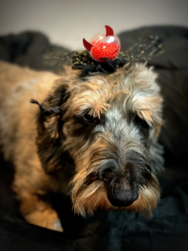 [Image: IMG-0773-2.jpg]