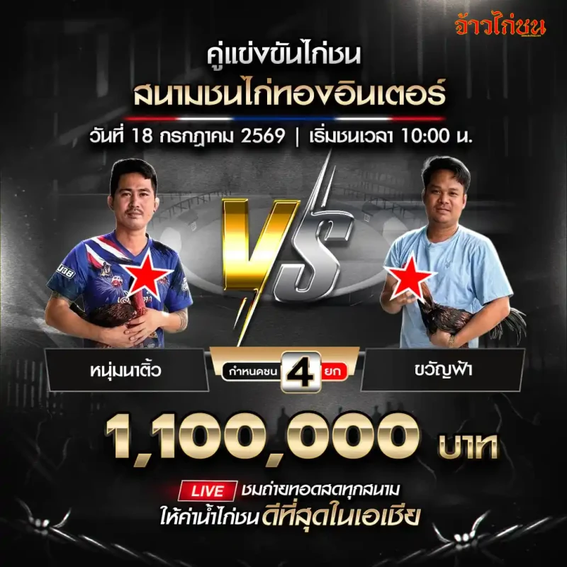โปรแกรมไก่ชน สนามชนไก่ทองอินเตอร์ 18 กรกฎาคม 2569 หนุ่มนาติ้ว พบ ขวัญฟ้า