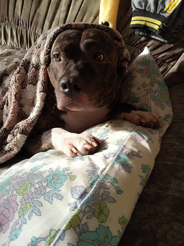 7CBE46BB-4536-43B3-A183-137A684C79E4