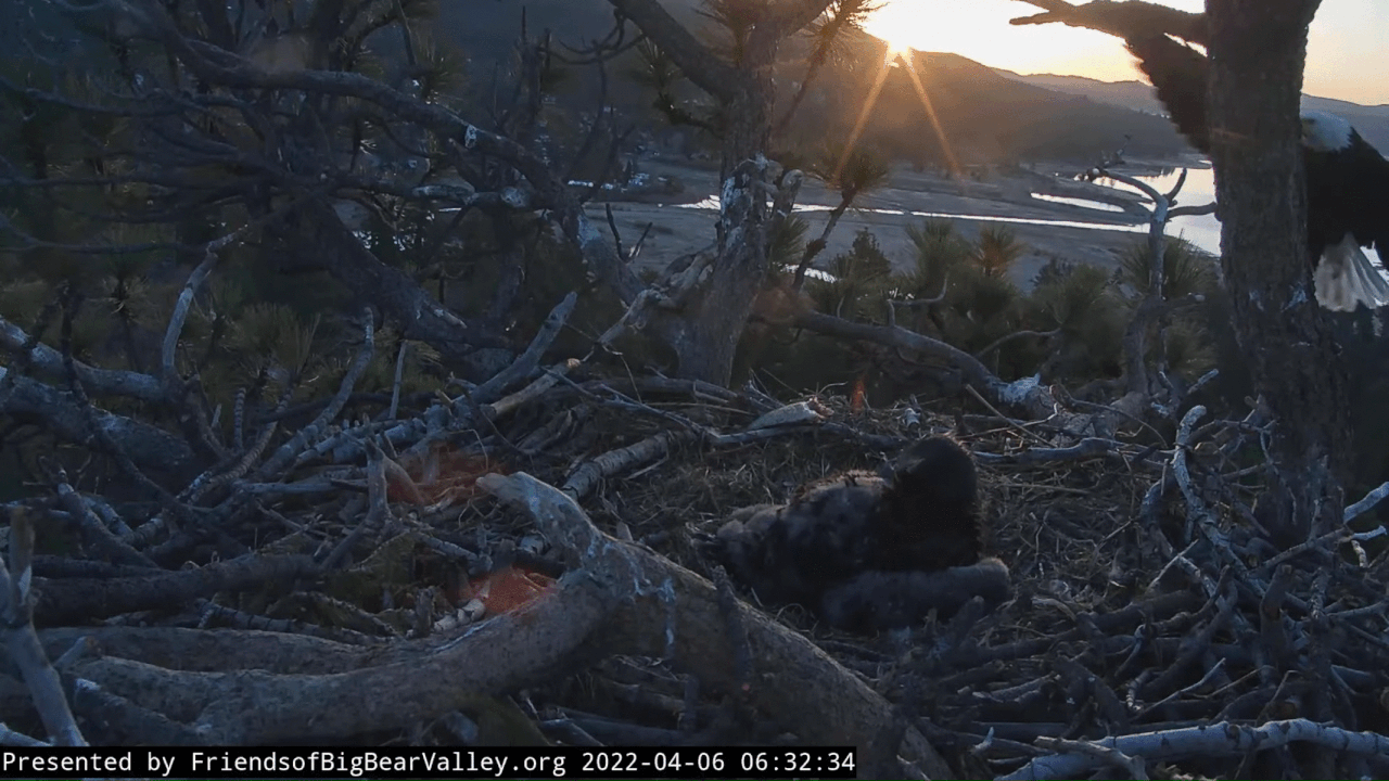 Webp.net-gifmaker (14)