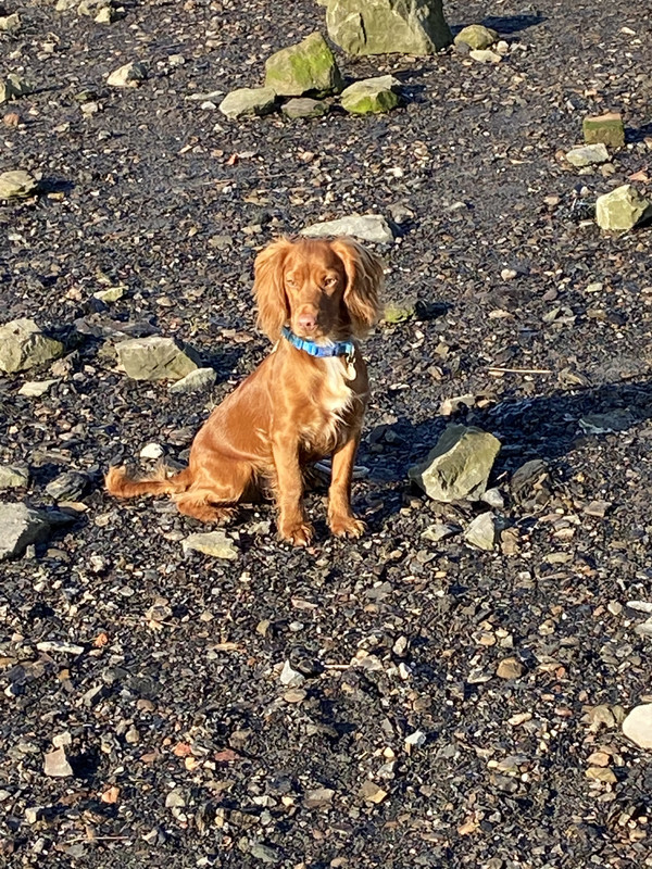 9BFF608F-A33E-4171-A654-2161F3593340