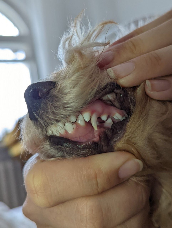 8CFA9F73-06C9-4416-8811-3041C2EAE5DE