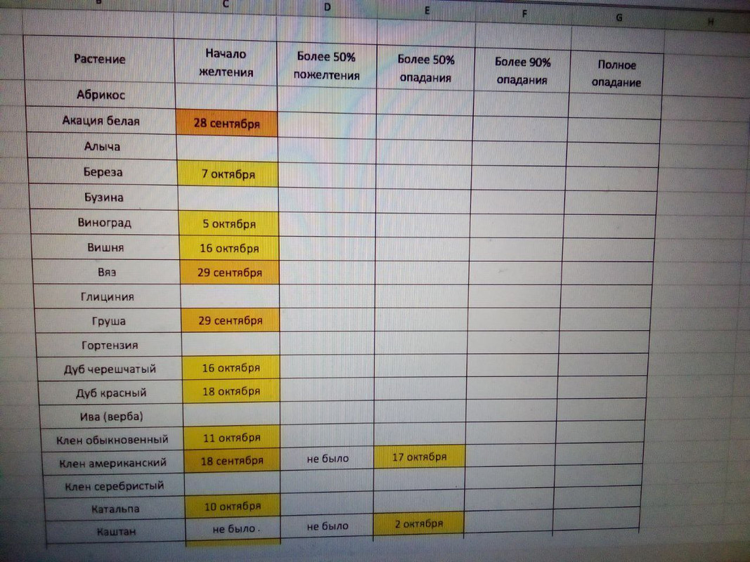 photo_2024-10-19 7.23.50 пп