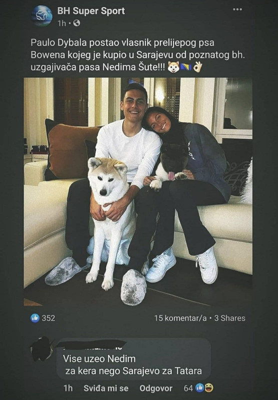 slika
