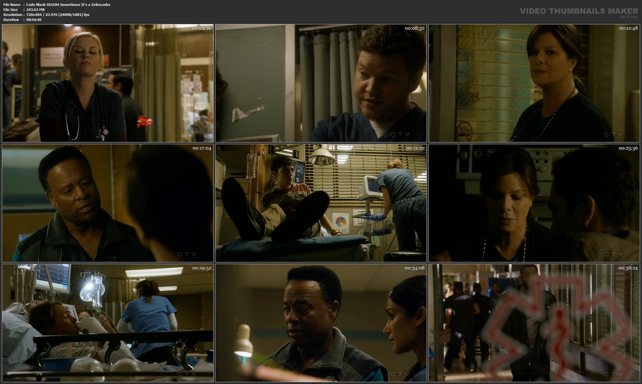 Code Black S01E04 Sometimes It's a Zebra.mkv