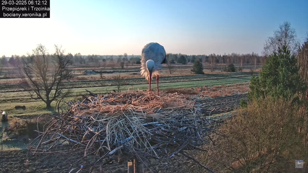 29032025porannezamieszanie_13