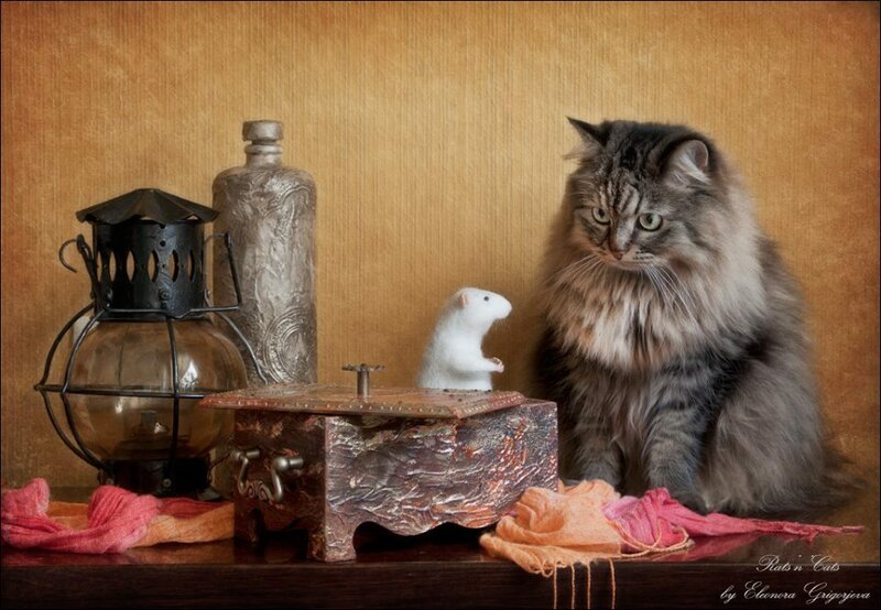 11698587-584684728301661-6497946870224504867-n