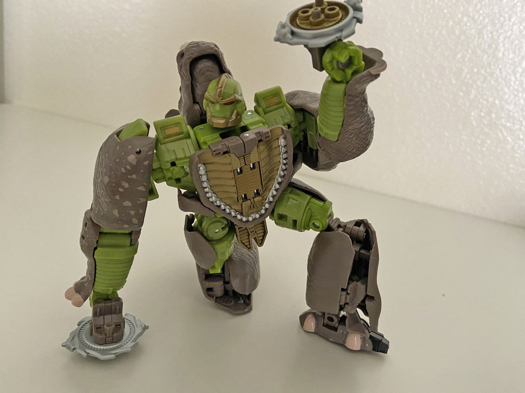 Kingdom-Rhinox-In-Hand-Images-13